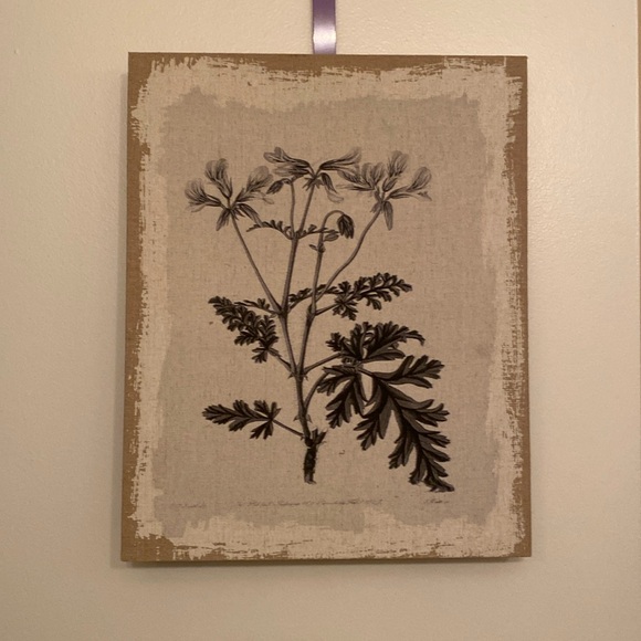 Other - Plant frame